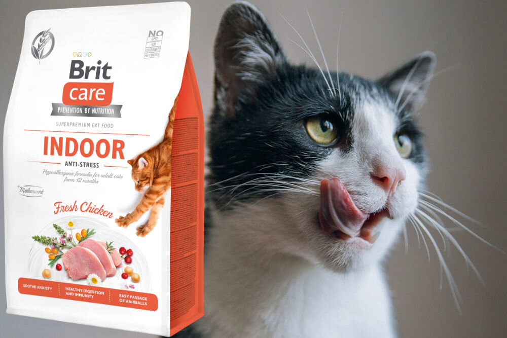 Karma dla kota BRIT CARE Grain-Free Indoor z kurczakiem 7 kg dodatki analiza