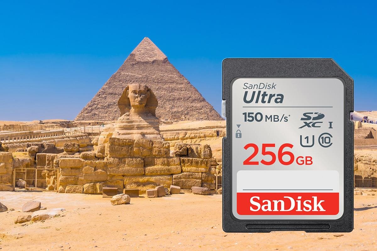 karta sandisk zdjecie lifestyle