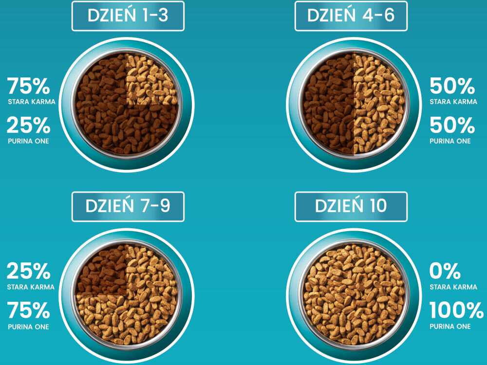 Karma dla kota PURINA ONE Sterilcat Łosoś & Pszenica 1,5 kg dodatki analiza