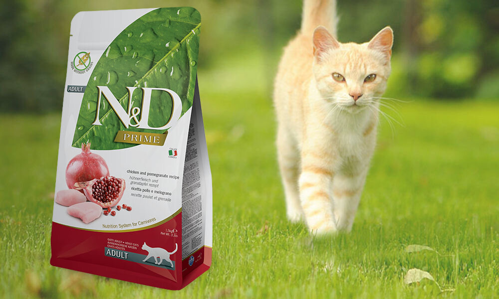 Karma dla kota FARMINA N&D Prime Cat Chicken & Pomegranate Adult 300 g dawkowanie analiza sklad